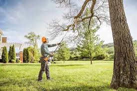 Best Leaf Removal  in Laie, HI